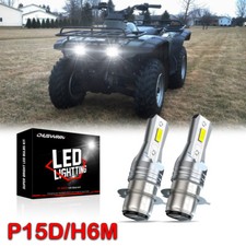 Adatto per Honda Rincon 650