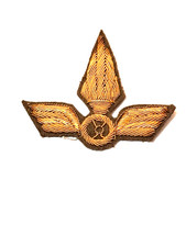 Fregio stemma berretto