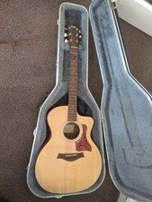 Chitarra elettrica acustica