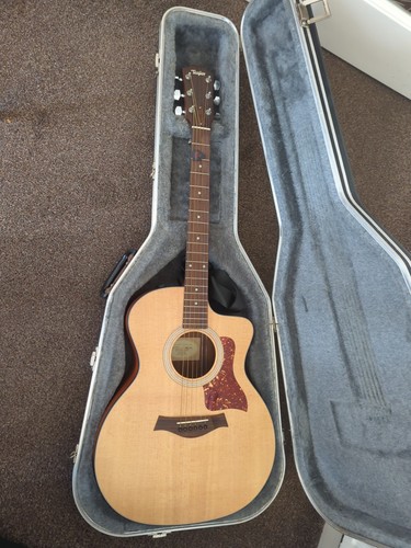 Chitarra elettrica acustica