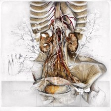 DIPINTO OLIO SU TELA - 60 x 60 CM.- PEZZO UNICO ORIGINALE