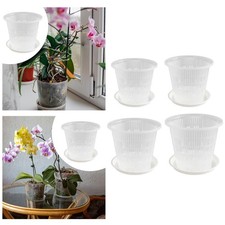 Vaso per orchidee trasparente