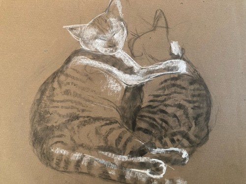 Disegno 1920 matita - 1920, gatto
