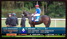 Pannello LCD Polaroid / Vestel 40" con scheda T-con e cavi piatti pannello LCD.