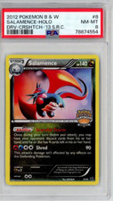 SALAMENCE HOLO CHAMPIONSHIPS
