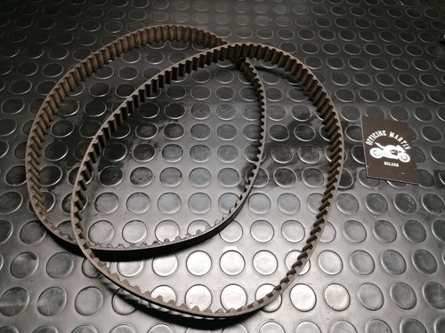 Coppia cinghie motore ducati - coppia,