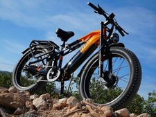 Bicicletta elettrica