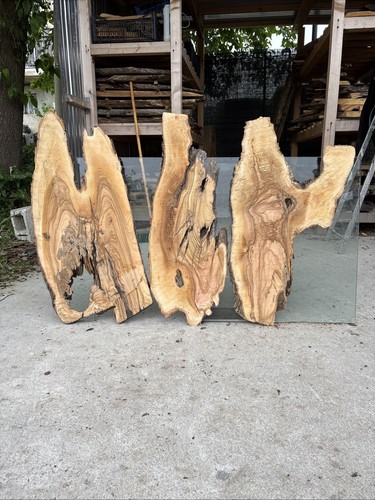 Tavole legno ulivo 3pezzi - tavole,