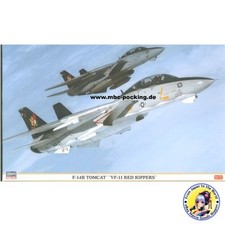 HASEGAWA 1/48 F-14B Tomcat