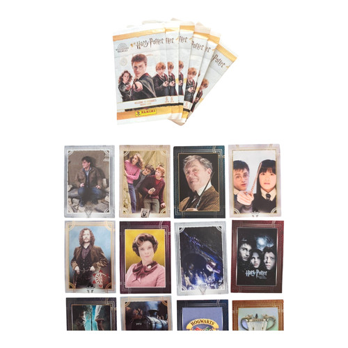 Harry potter panini welcome - ⚡harry,