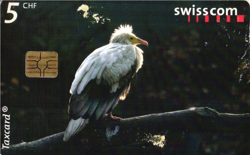 953 scheda telefonica - scheda,