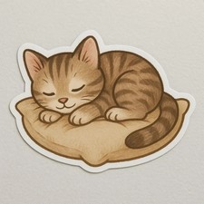Gattino che dorme su cuscino