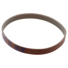 Essedue Rheninghaus cinghia