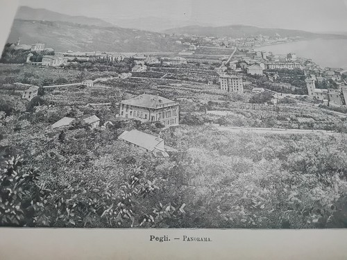 1891 pegli panorama - _, _