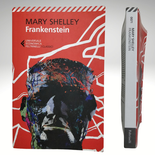 Frankenstein moderno - frankenstein,