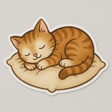 Gattino che dorme su cuscino