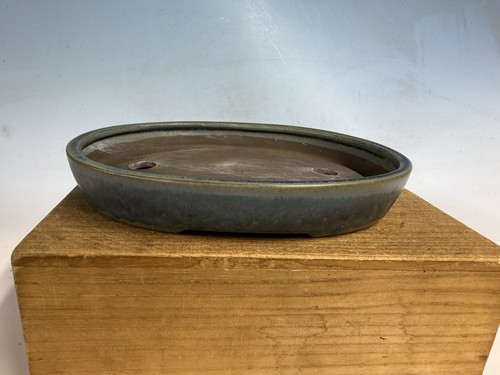 Splendido vaso per - , bonsai