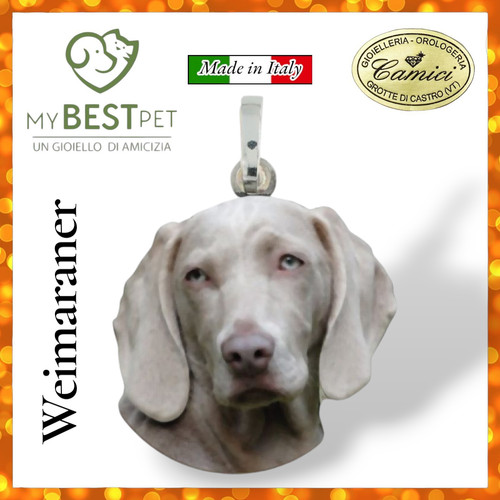 Ciondolo pendente cane - , argento