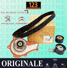 Kit distribuzione pompa acqua - kit,