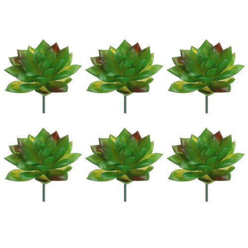 Pcs piante grasse finte - pcs,