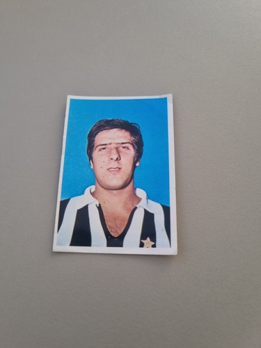 Calciatori basket 1976 - e, 1976-77