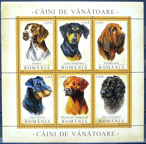 Foglio ricordo romania - foglio, cani