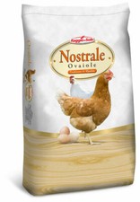 MANGIME COMPLETO GALLINE OVAIOLE SBRICIOLATO RAGGIO DI SOLE 10 KG