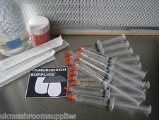 Tappo Vino 10ml (Stropharia