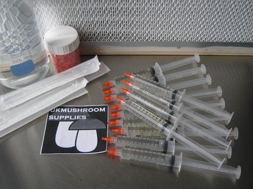10ml panellus stipticus - panellus,