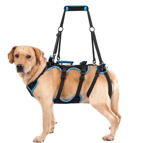 Imbracatura sollevamento cani - imbracatura,
