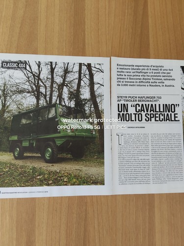 Steyr puch haflinger 703 - steyr,