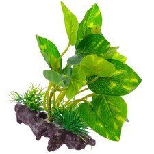 Decorazione dell acquario per - dell'acquario,