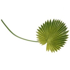  Foglie Artificiali Palma