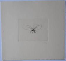 Guido Strazza (Santa Fiora 1922) - Insetti, 1980 - Incisione n° 1