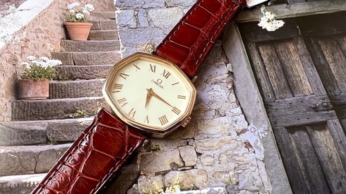 Raro orologio find omega - omega, in