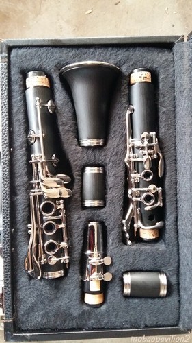Clarinetto professionale 17 - ,
