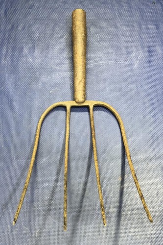 Testa forchetta passo denti - passo,
