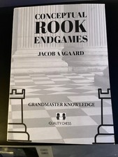 Conceptual Rook Endgames -