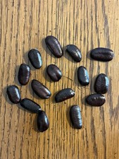 15 Stratified 2025 Wild Ohio