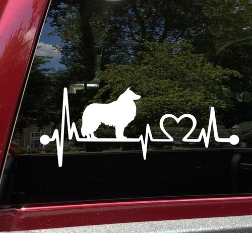 Decalcomania vinile collie - in,