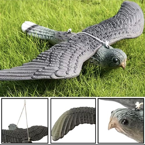 Falco plastica repulsione - falco,