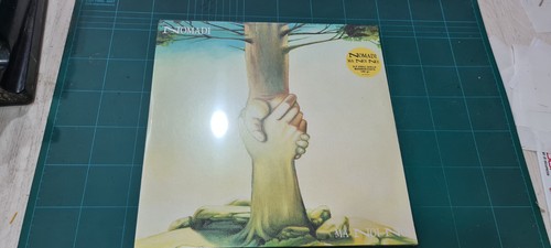 Nomadi noi 2lp vinili - noi,