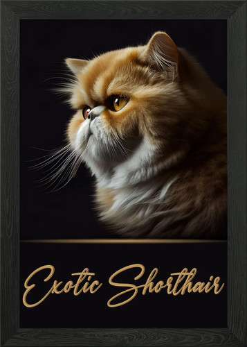 Poster arte parete elegante - arte,