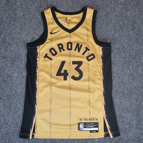 Maglia swingman nike ovo - maglia,