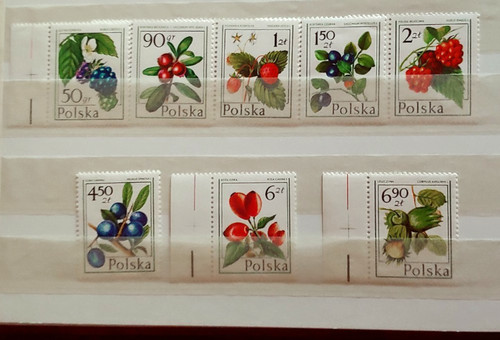 Set frutta selvatica mnh - selvatica, vf