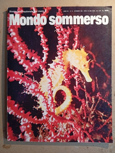Mondo sommerso dicembre - dicembre,