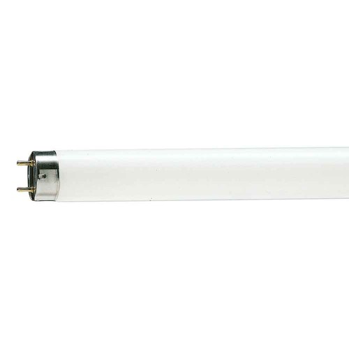 Lampada fluorescente tubo - lampada, t8