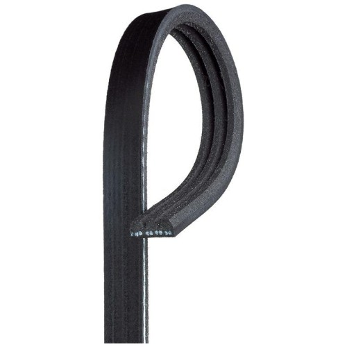 Cinghia trapezoidale gates - cinghia,