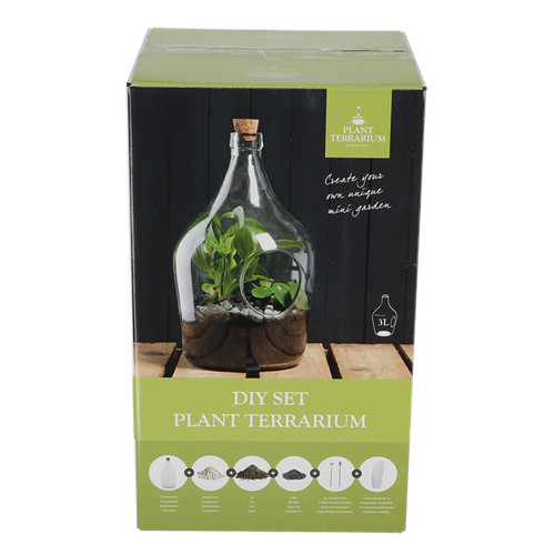 Esschert terrario per piante - terrario,