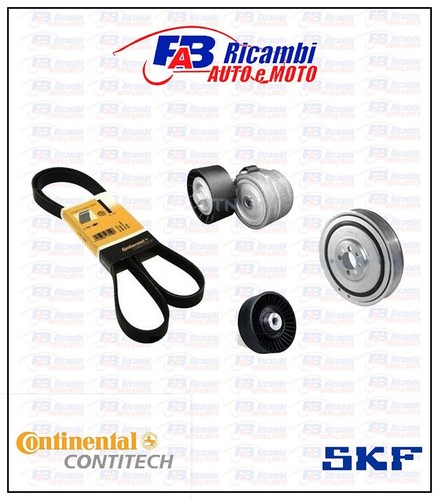 Kit cinghia servizi puleggia - kit,